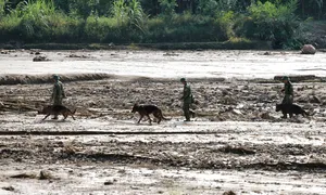 Dừng tìm kiếm nạn nhân mất tích Làng Nủ Dừng tìm kiếm nạn nhân mất tích Làng Nủ