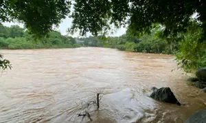 Ba thanh niên nhậu xong thi bơi qua sông, một người mất tích