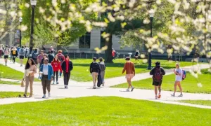 Đua nhau học song bằng để 'bớt sợ hãi' khi ra trường